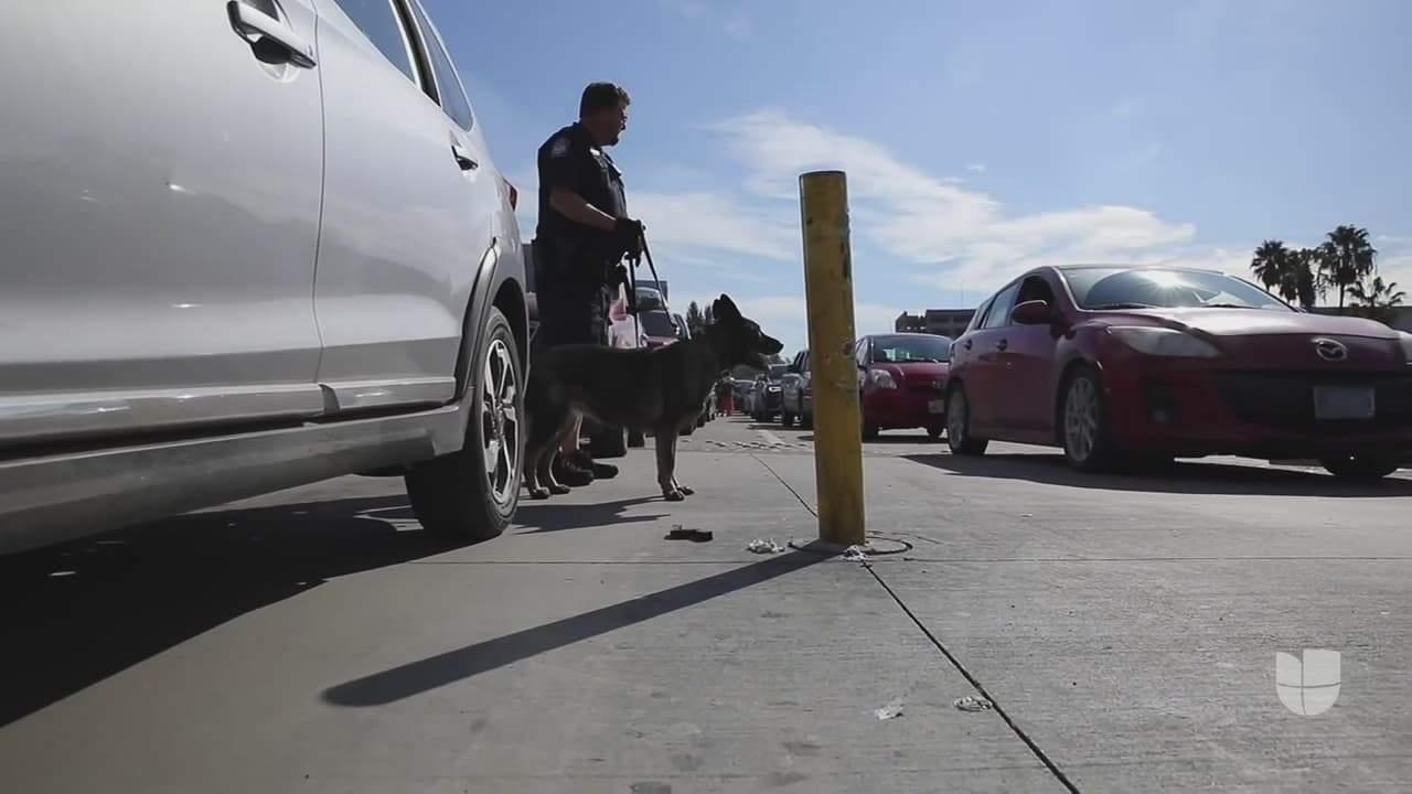 El drama de las llamadas 'mulas ciegas': cada vez son más comunes y los delincuentes usan todo tipo de trucos