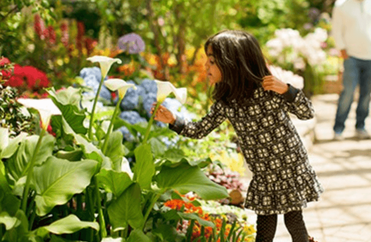 El 
<b><a href="https://garfieldconservatory.org/about-us/" target="_blank">Conservatorio Garfield Park</a></b> ofrece múltiples opciones para disfrutar de la naturaleza y en familia.