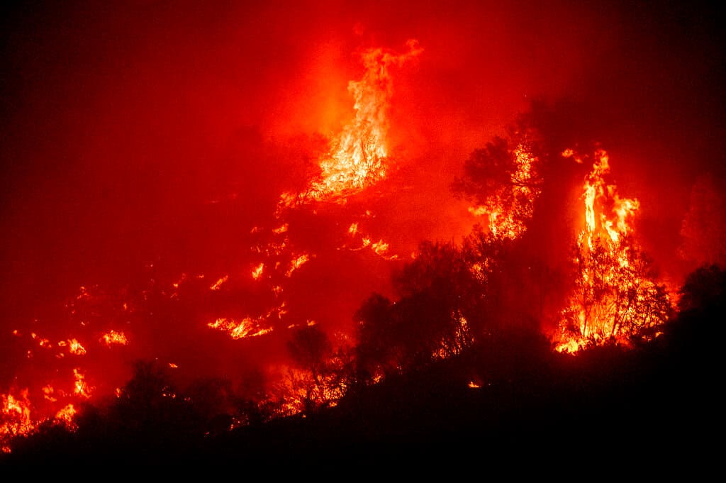 Estos incendios se encuentran entre los últimos de un largo verano de incendios que han quemado más de 3,500 millas cuadradas en California, destruyendo cientos de hogares.