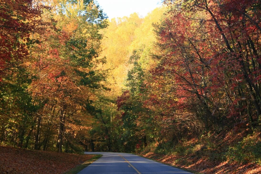 La belleza del otoño la que atrae a muchos turistas cada año, quienes buscan apreciar el cambio de color de las hojas y los paisajes que se aprecian desde la vía.