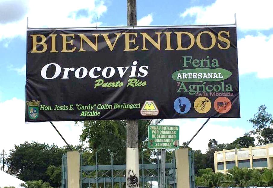 Denuncian que alcalde de Orocovis viola la ley electoral