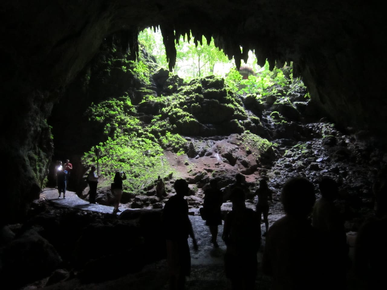 Senado busca reabrir el parque de las cavernas de Camuy 