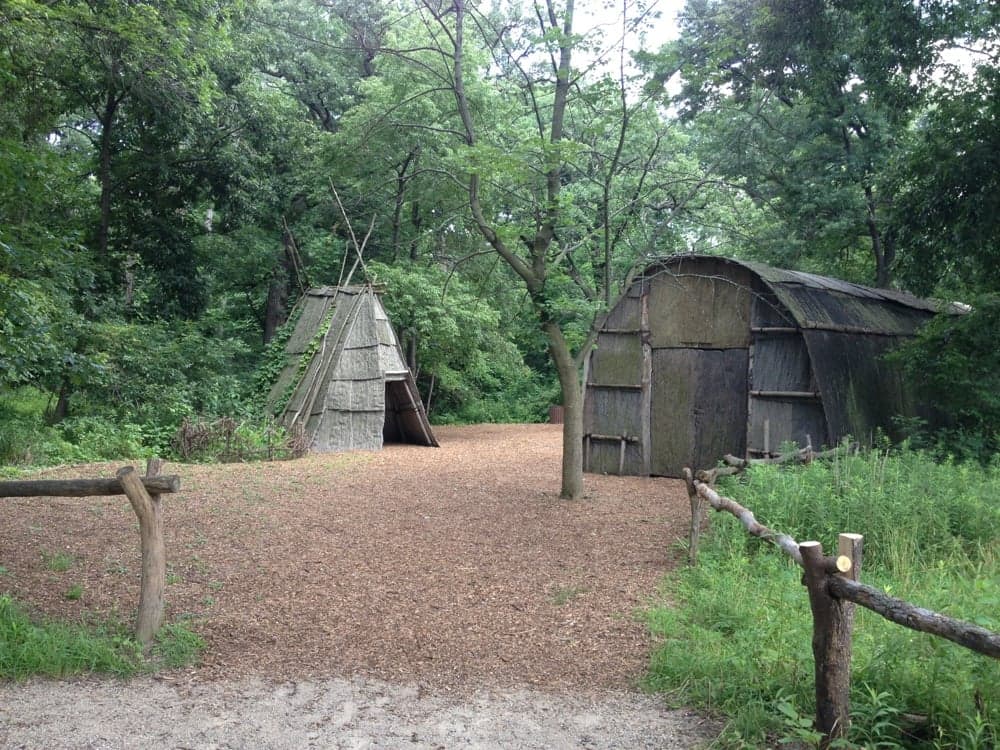 En 1976, 
<a href="https://glenviewparks.org/" target="_blank">The Grove</a> fue designado Monumento Histórico Nacional por el Departamento del Interior de Estados Unidos. Pasea por sus 150 acres de tierra, The Grove es una de las atracciones más concurridas del distrito de parques de Glenview. Visita su museo de historia y naturaleza al aire libre, visita sus tortugas. Dirección: 1421 Milwaukee Ave Glenview, IL 60025.
<br>
<br>