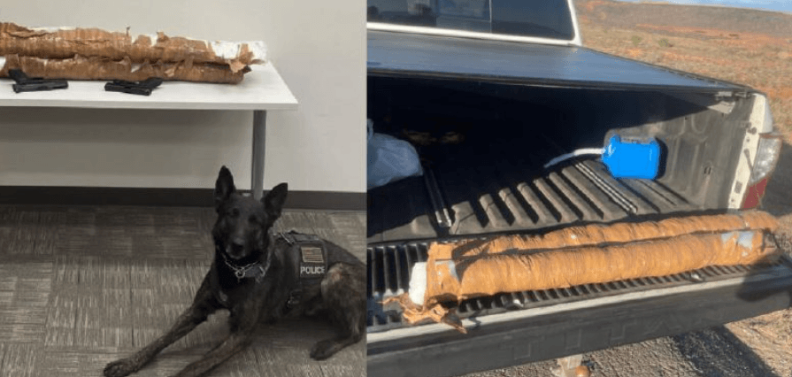 Lo detienen por manejar muy despacio y le encuentran casi medio millón de dólares en drogas y dos armas