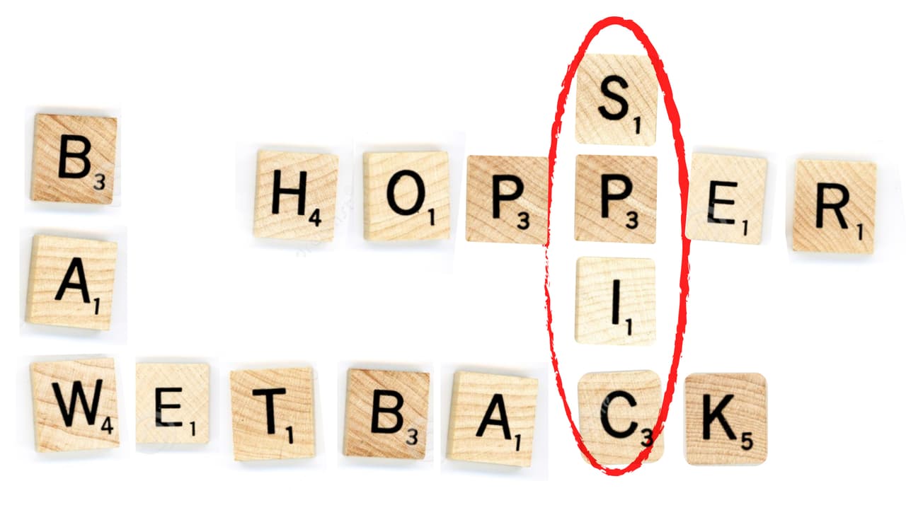 Esto es lo que significan los ocho insultos en inglés más utilizados contra los hispanos