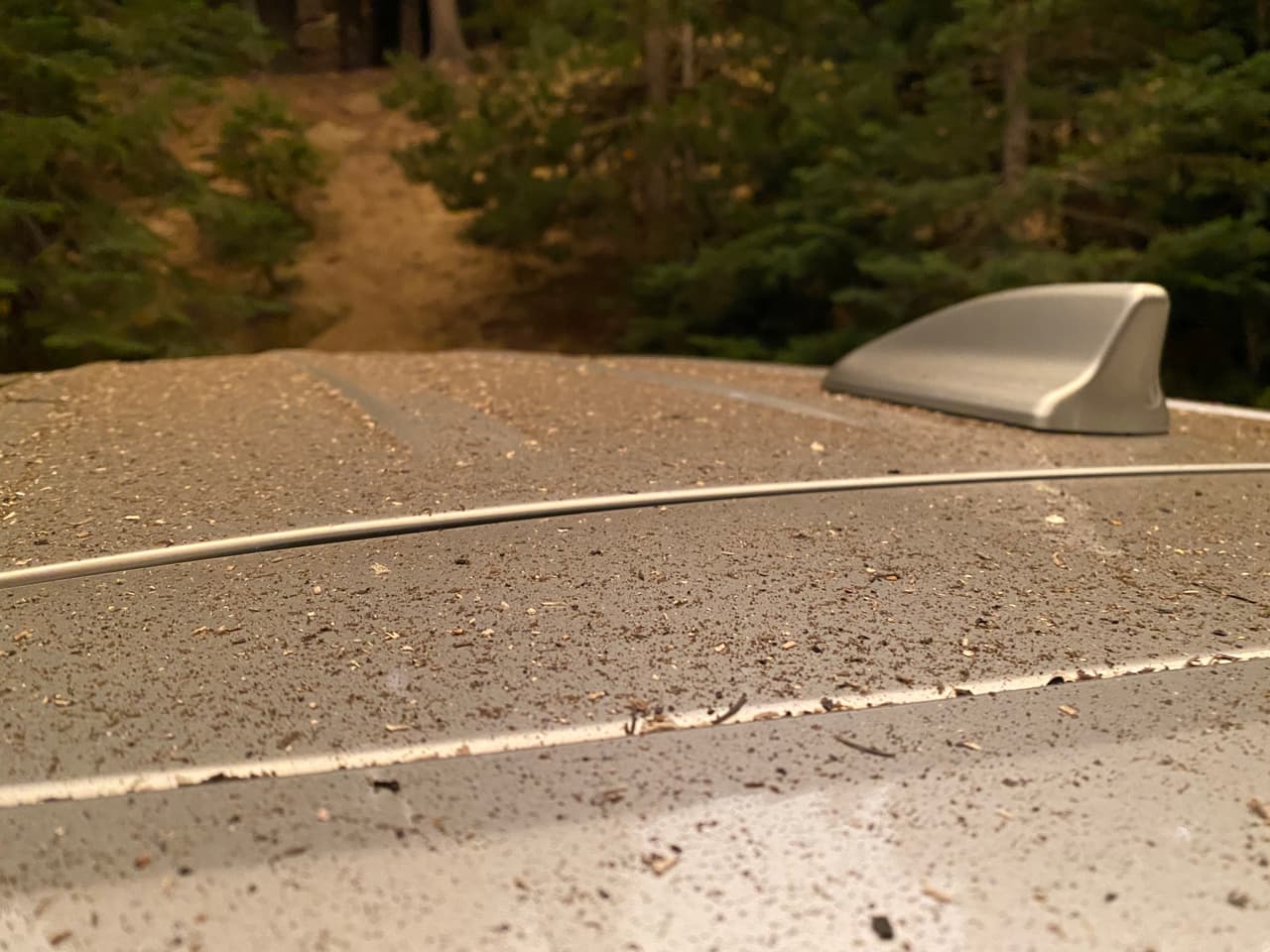 Esta fotografía tomada el domingo, muestra la lluvia de cenizas que hasta hoy sigue cubriendo los automóviles y estructuras, prácticamente en todo California.