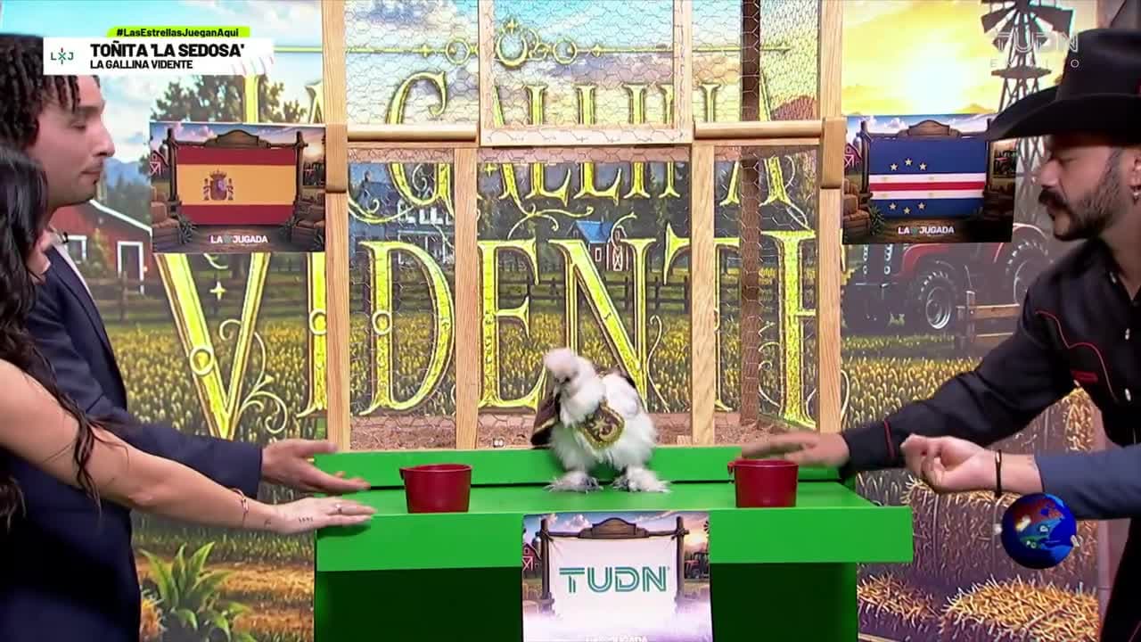Toñita, la gallina vidente, predice quién ganará en el España vs. Cabo Verde