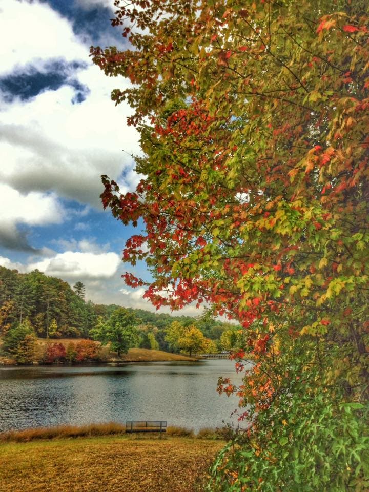 <b>James H. Floyd State Park</b>. Este tranquilo parque en el noroeste de Georgia tiene cinco millas de senderos para caminatas, además de acceso al sendero Pinhoti de 60 millas.