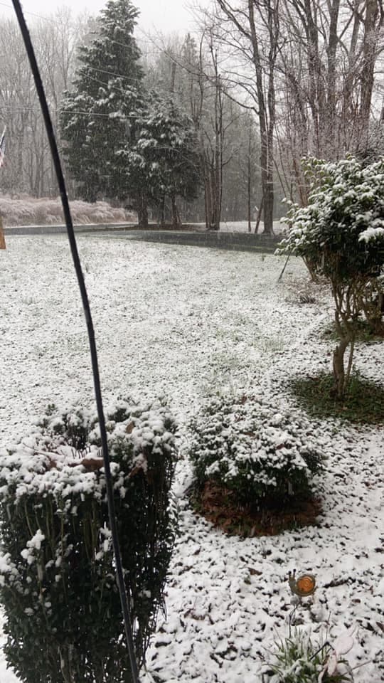 Una familia en Asheboro compartió las imágenes de la nevada en su residencia.
