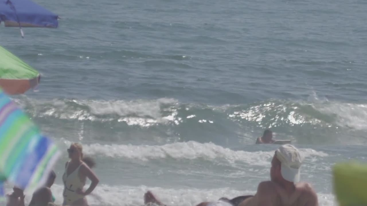 En los últimos dos días se ha reportado que al menos cinco personas pudieron haber sido mordidas por tiburones en playas de Long Island, pues solo este 4 de julio las autoridades vieron 50 tiburones a 200 yardas de la orilla de la playa.