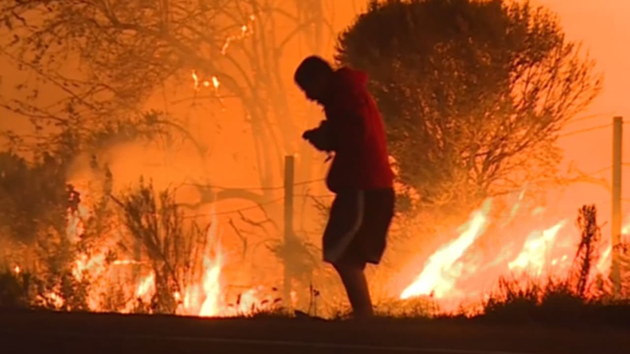 El falso héroe que dijo haber rescatado un conejo de uno de los incendios en California