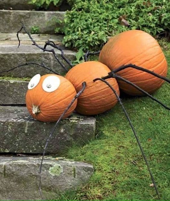 ¡Cuidado con la araña!: tres calabazas y ocho ramas te alcanzan para recrear esta gigantesa araña (
<a target="_blank" href="http://budgetwisehome.com/no-carve-pumpkin-ideas-4/">budgetwisehome.com)</a>