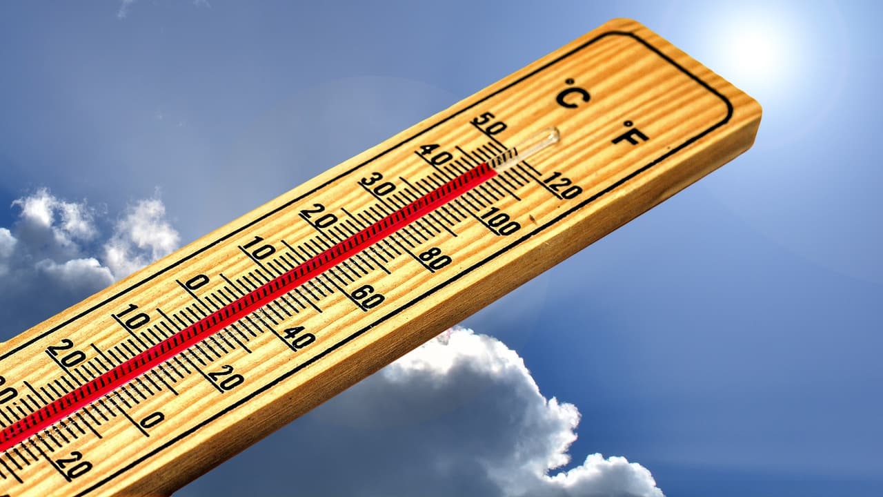 Síntomas de golpe de calor: alta temperatura corporal (103 °F o más); piel caliente, enrojecida, seca o húmeda; pulso acelerado y fuerte; dolor de cabeza; mareos; náuseas; confusión; y pérdida del conocimiento (desmayos).