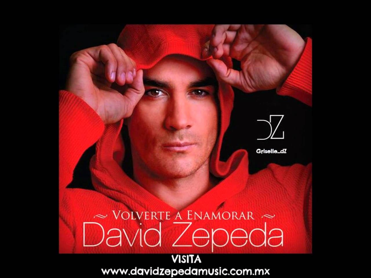 David Zepeda ha lanzado dos producciones discográficas a lo largo de su carrera, los cuales no han tenido tan buena aceptación, aunque eso no le ha impedido señalar que este 2018 lanzará una nueva producción. Sus éxitos han sido por sus trabajo en novelas como 'Abismo de Pasión' y 'Tres veces Ana'.
