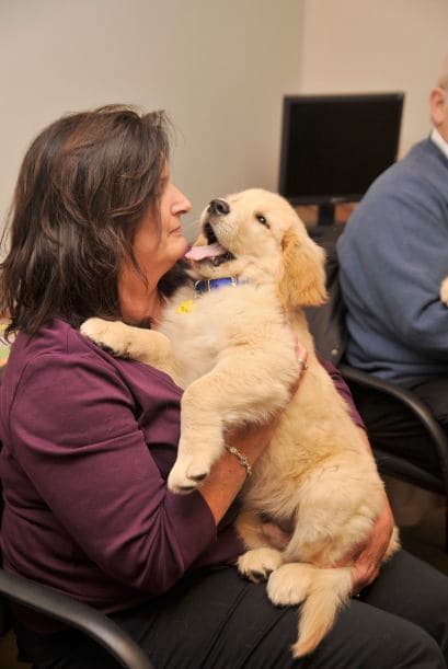 Pero si llegas a casa demasiado cansado después de un día de trabajo como para jugar con tu mascota, usa una práctica luz‘lasser’, este artefacto mantendrá a tu mascota entretenida con un mínimo esfuerzo tuyo. Recuerda que cuanto más pronto descubras qué problema tiene tu mascota, más fácil solucionarás su ansiedad.