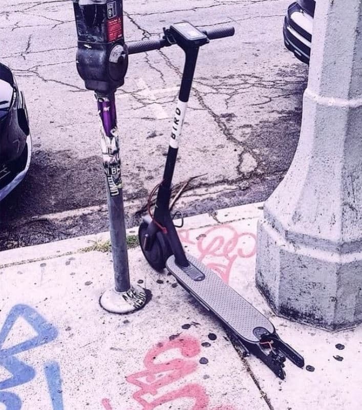 Desde que llegaron al estado hace poco más de 1 año, Bird y Lime, las dos empresas responsables de su administración, han promocionado este servicio como una alternativa práctica, económica y ecológica de transporte.