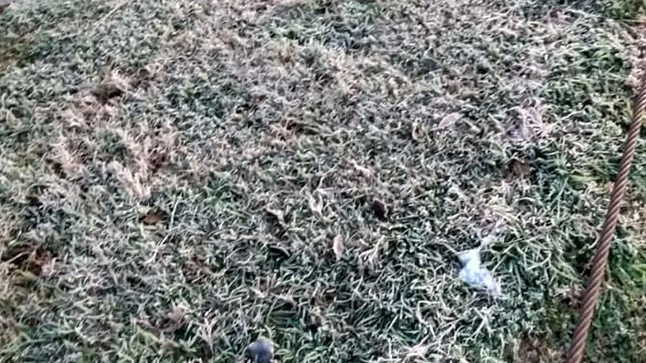 "Buenos días": Glendy Pineda