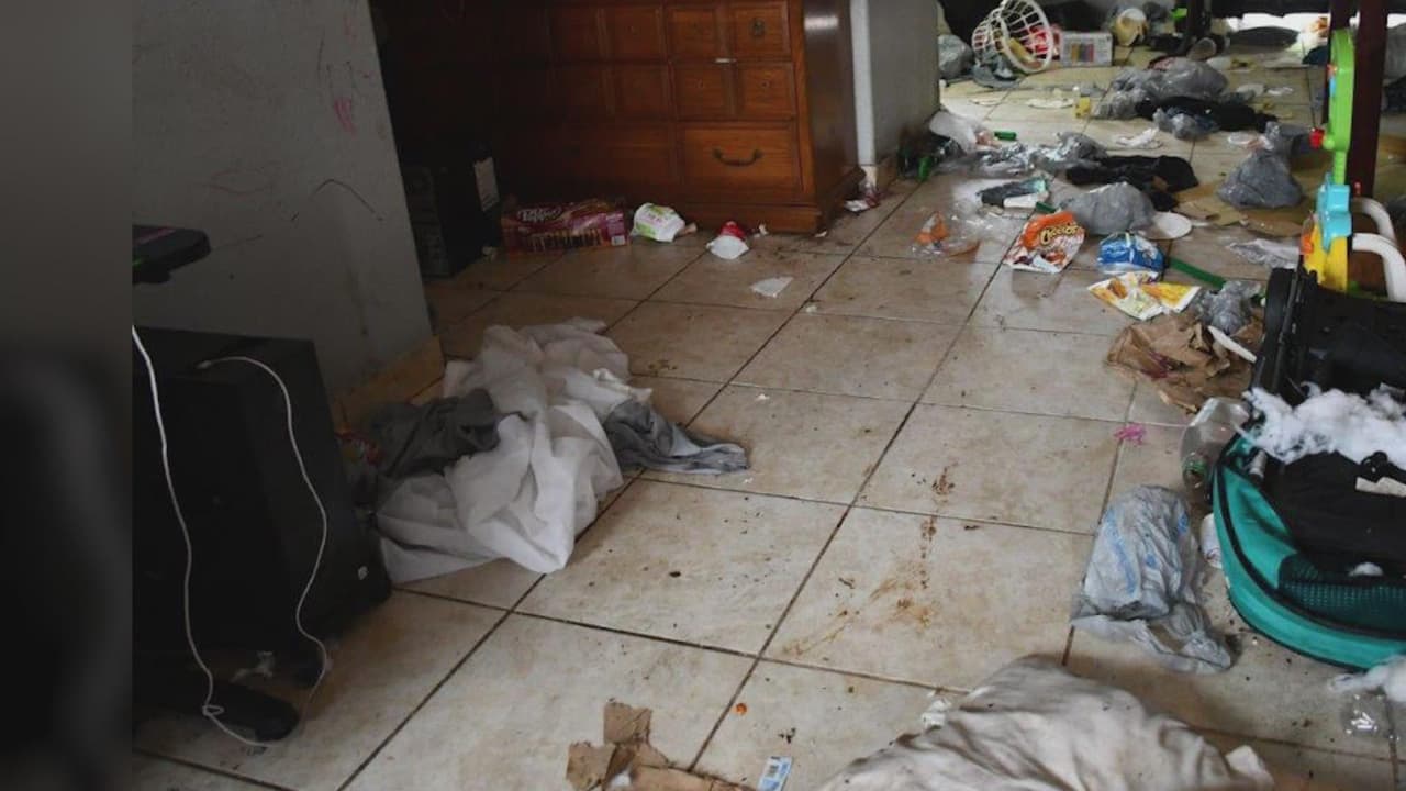 Rescatan a cuatro menores que vivían entre basura y fauna nociva