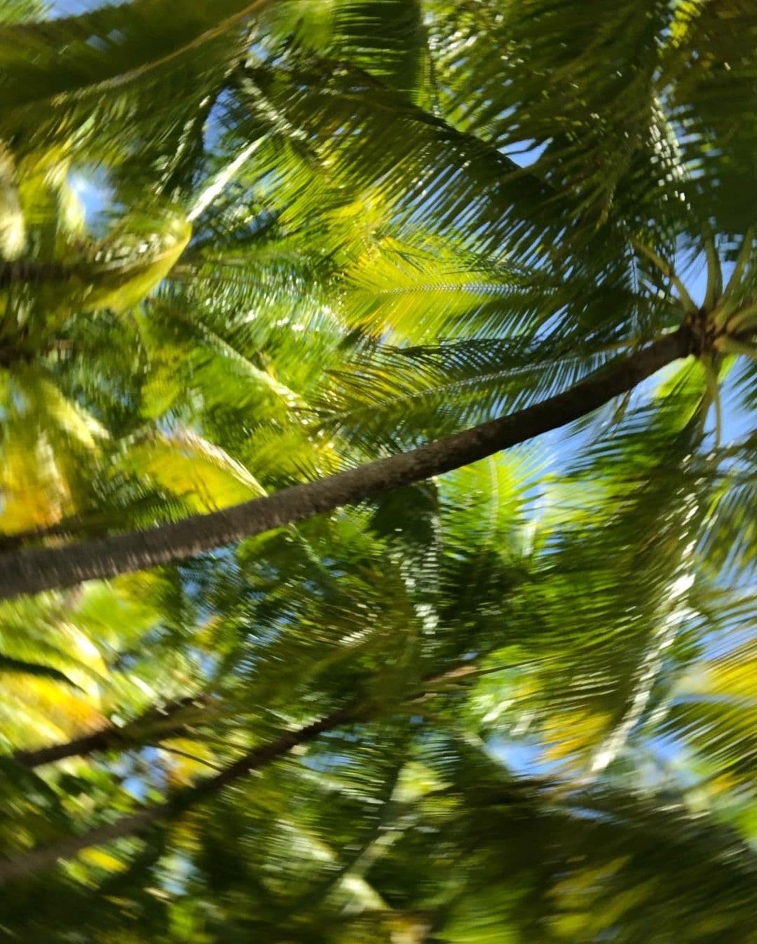 Britney Spears se atreve a pilotear un avión luego que una juez suspendiera la tutela de su padre