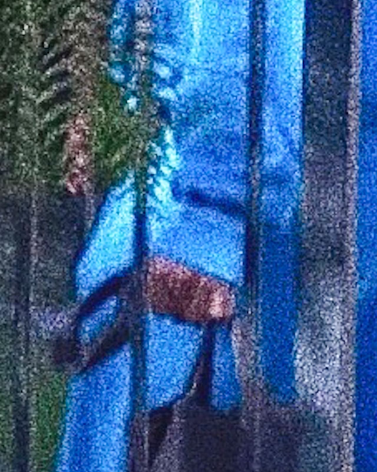 Para esta salida, West eligió una sudadera y zapatillas deportivas de su marca, Yeezy, llevaba una cartera marrón y, al igual que Kim, no estaba utilizando su anillo de bodas.