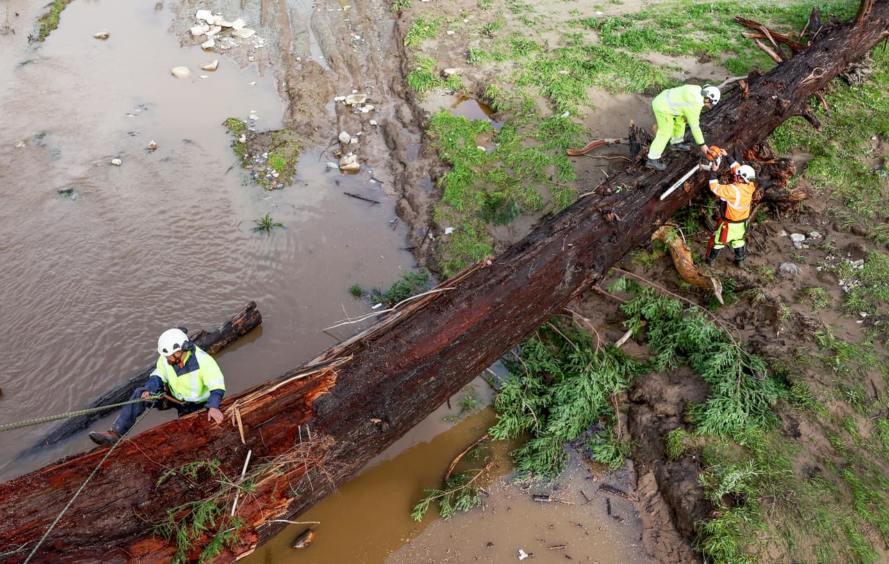 Qué hacer para evitar tragedias ante la caída de árboles y cables de alta tensión durante las tormentas