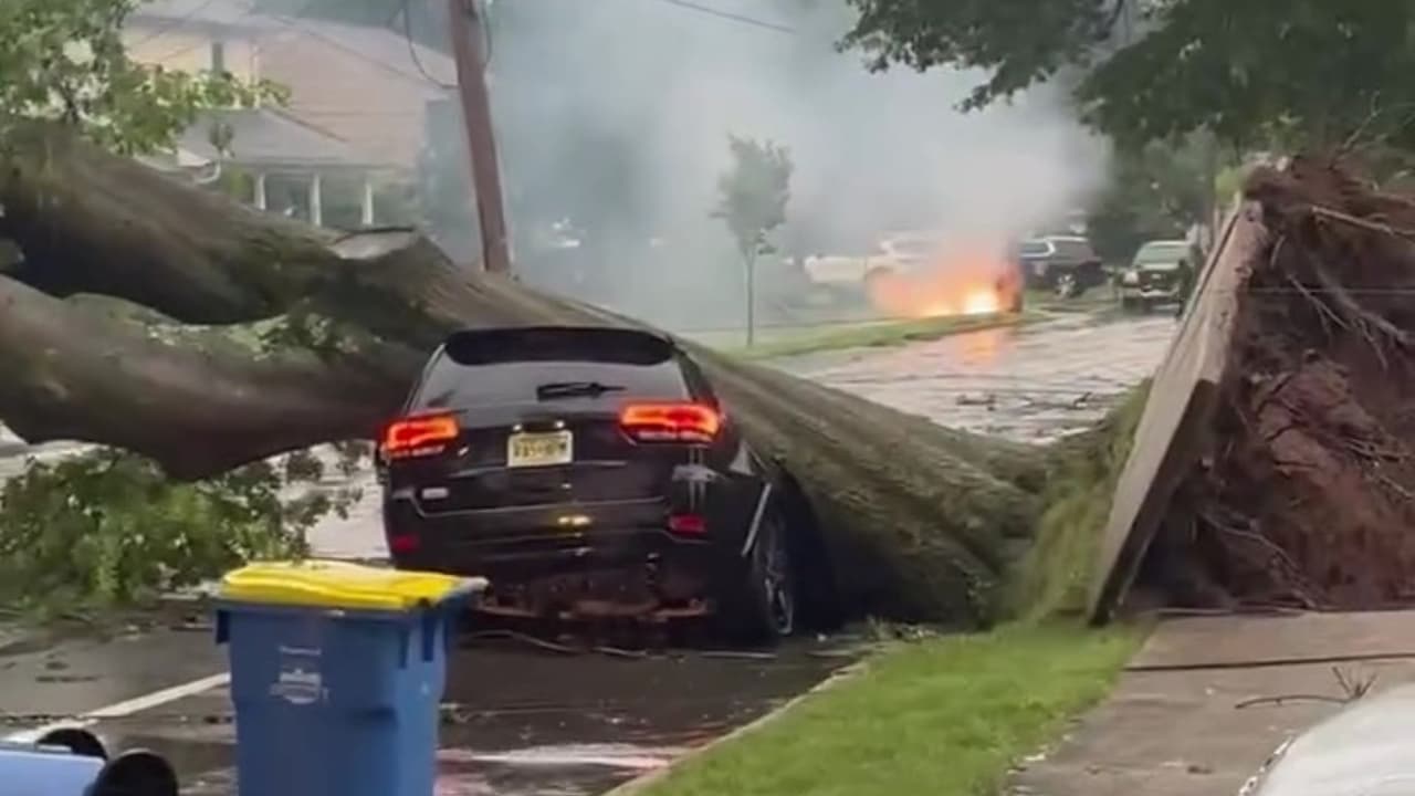 "El árbol la mató instantáneamente": testigo relata cómo vivió la tormenta que cobró tres vidas en Nueva Jersey