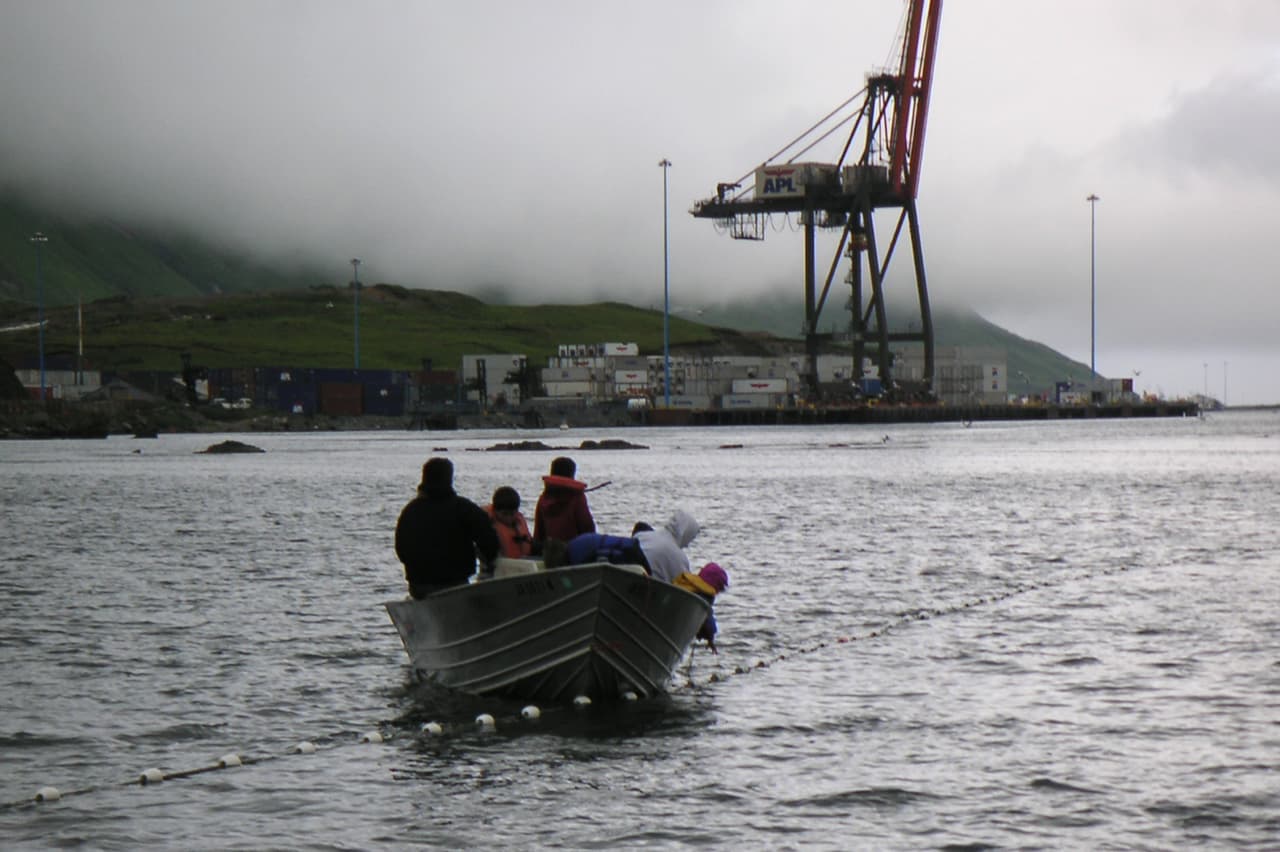 <b>Puesto 8. Terremoto de Islas de las Ratas, magnitud 8.7. Oeste de Alaska, febrero de 1965. </b>Este archipiélago es parte de las islas Aleutianas de Alaska, la mayoría deshabitadas. El sismo produjo un tsunami que llegó a Japón y aproximadamente 20,000 personas perdieron la vida.