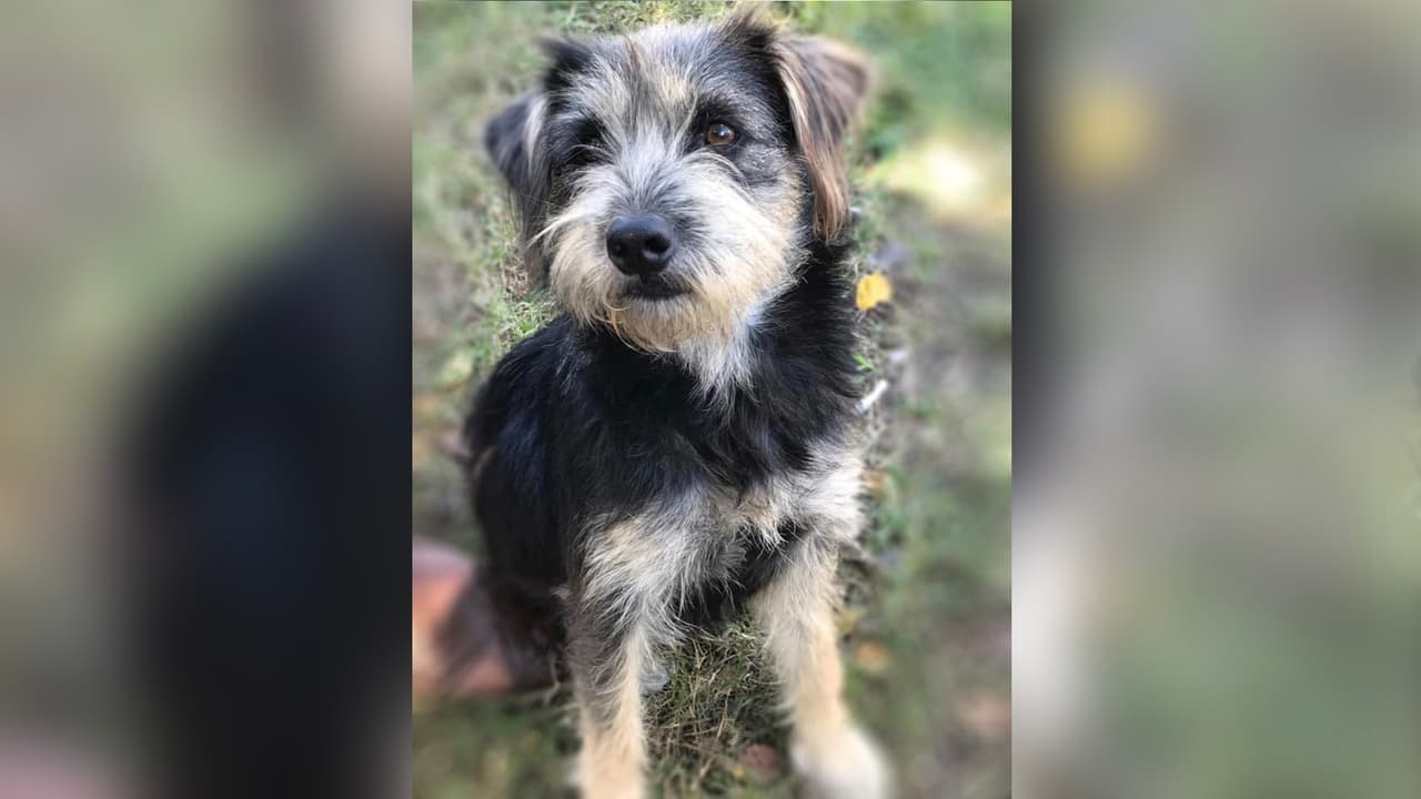 "Ella es Avery mi pequeña ❤️ ".