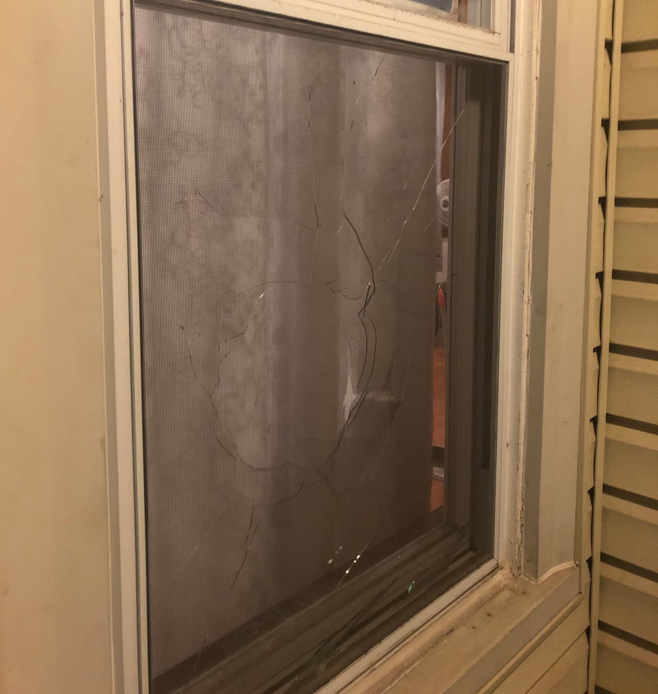 "Quiero que mis residentes estén libres de esta tiranía", escribió el concejal Raymond en un tuit refiriérdose al vándalo.
<br>
<br>Agregó que el ataque "fortalece" su determinación de "librar a nuestras comunidades de estos terroristas urbanos".