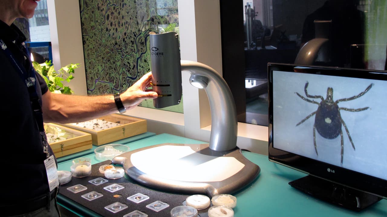 Así fue como un hombre de EEUU murió por alergia a la carne tras la picadura de una garrapata