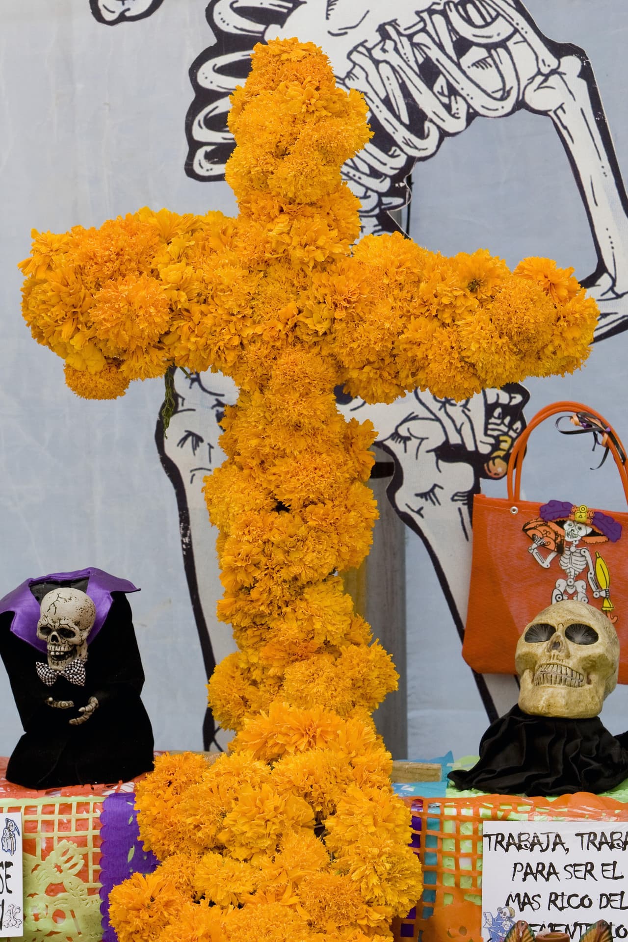 Pero más allá de la bella tradición del Día de Muertos en donde miles y miles de flores de cempasúchil se usan, en realidad la planta tiene múltiples beneficios y varias propiedades medicinales, recomendables para muchos malestares.