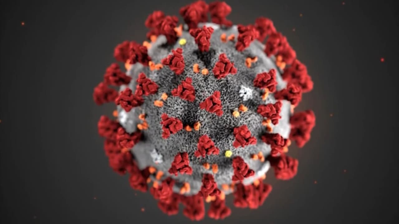 Investigan posible caso de coronavirus en el condado Collin 