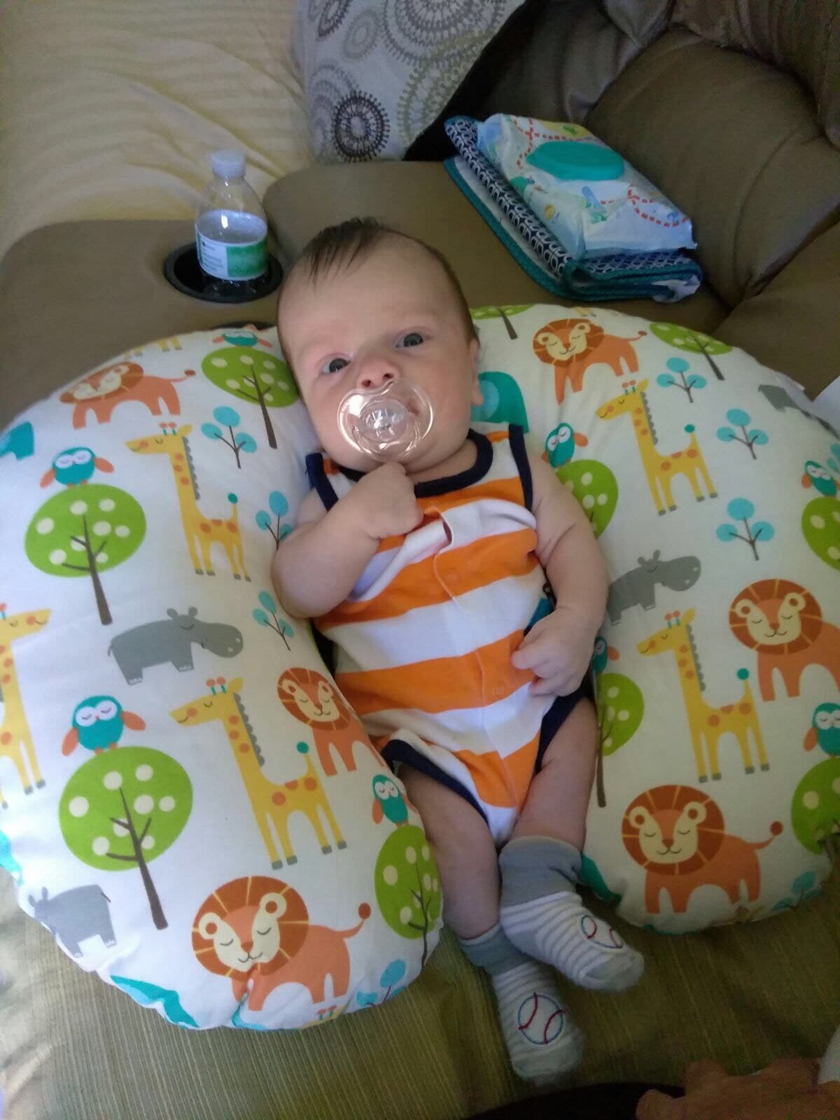 Más despierto que nunca y listo para comer algo delicioso