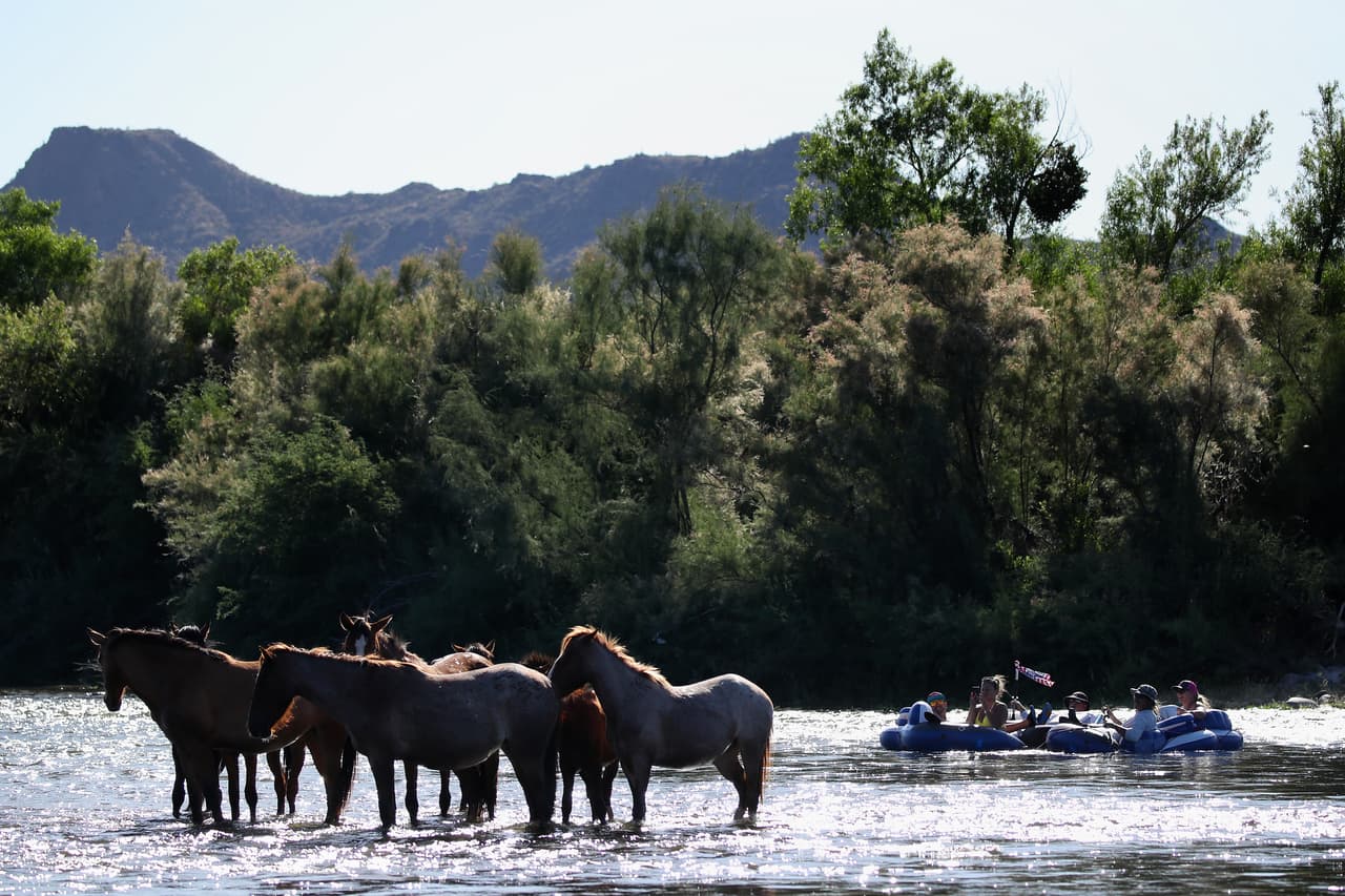 <b>Salt River: </b>El área de 
<i>tubing </i>en Mesa, Arizona le brinda un espacio de relajamiento en el rio. Esta área es súper popular durante el verano ya que nuestro estado es conocido por tener temperaturas por encima de los tres dígitos.