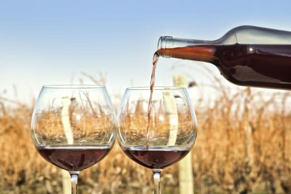 4. Un Malbec no será opacado por salsas agridulces como la barbacoa