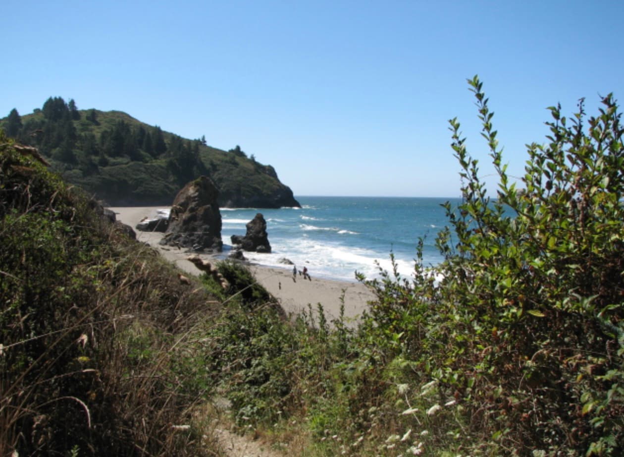 <b>Las playas en el <a href="https://humboldtgov.org/CivicAlerts.aspx?AID=2796" target="_blank">condado de Humboldt</a></b> se encuentran abiertas, pero se deben seguir las reglas de distanciamiento social. De hecho, muchas de las actividades que a nivel estado continúan prohibidas, en esta jurisdicción ya están permitidas, como por ejemplo el funcionamiento de agentes inmobiliarios y tiendas de bicicleta.
<b>Los parques se encuentran abiertos para el uso diario.</b>