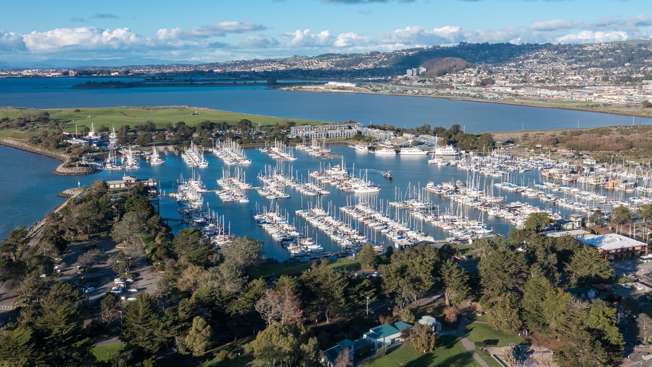 <b>Berkeley Marina:</b> Ideal para pasear en familia, hacer un picnic o simplemente relajarse con vistas espectaculares de la bahía. También puedes alquilar kayaks o hacer windsurf.