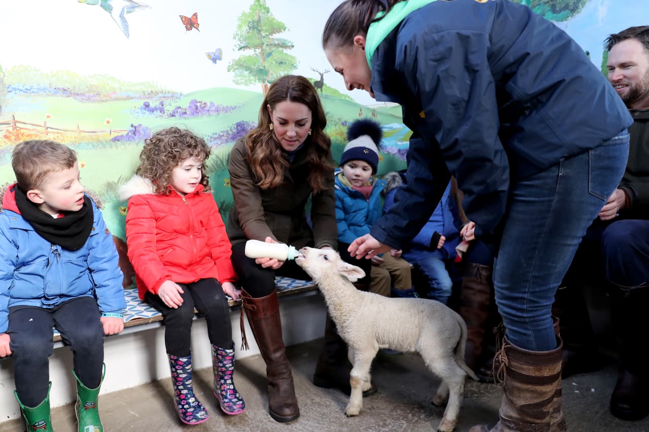 Además de la alpaca (a la que acarició sin miedo de ensuciarse) y de la serpiente (que no temió se le enroscara en ambos brazos), Kate Middleton también alimentó con biberón a un pequeño borrego.