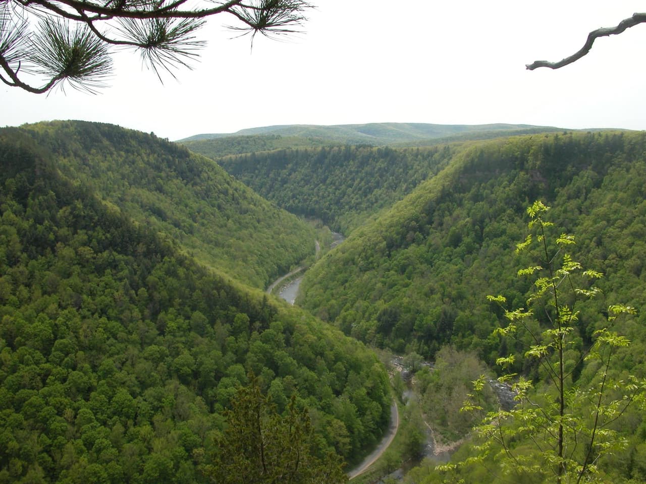 <a href="https://goo.gl/maps/L3mCndm4FbkTLmoC7"><b>El desfiladero de Pine Creek</b></a>, de casi 50 millas de largo y más de 1,000 pies de profundidad, es conocido como el Gran Cañón de Pensilvania.