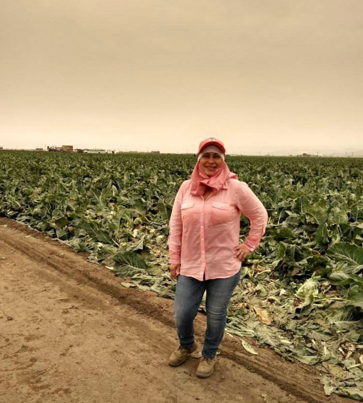 Audelia envía esta foto desde un campo de coliflores en Salinas, California. Una de las zonas conocidas por ser la 'ensalada del mundo' por su vibrante zona de vegetales fue cubierta de una espesa columna de humo la semana pasada.
