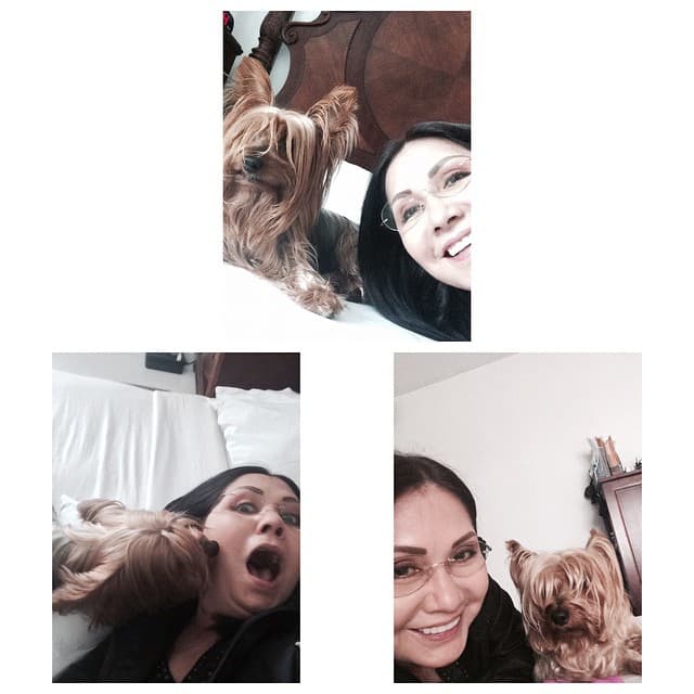 Se nota la felicidad que le provoca jugar con Mía y Jazz.