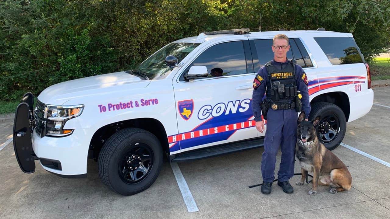 Los perros policía K-9 colaboran de manera muy importante en el combate al crimen en el Precinto 4.