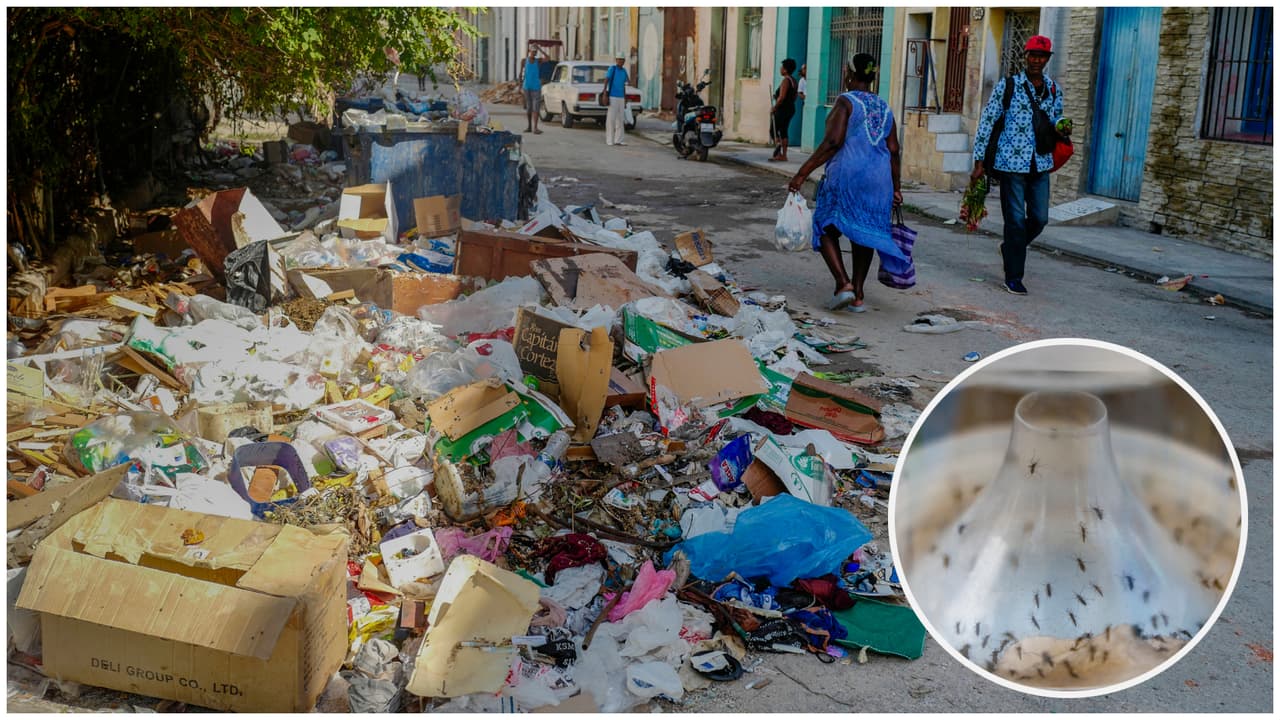 Cuba enfrenta grave crisis sanitaria por epidemia de chikungunya