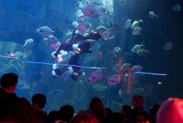 Santa visitó a todos los peces del acuario de París.