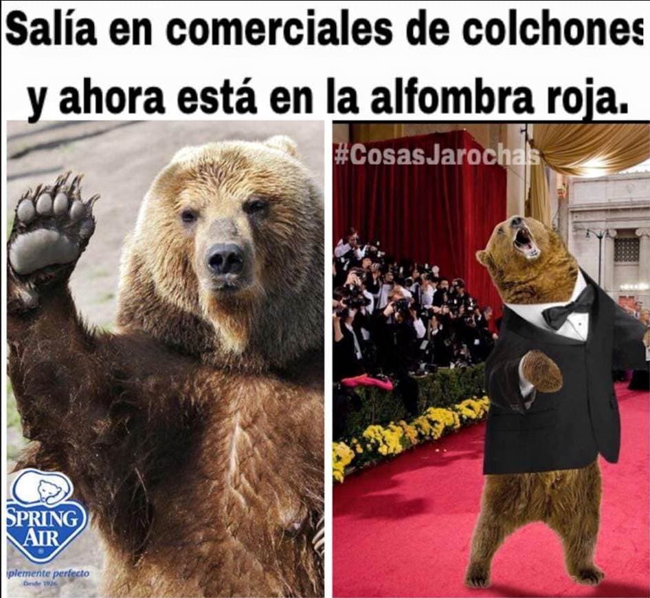 Los sueños se hacen realidad.