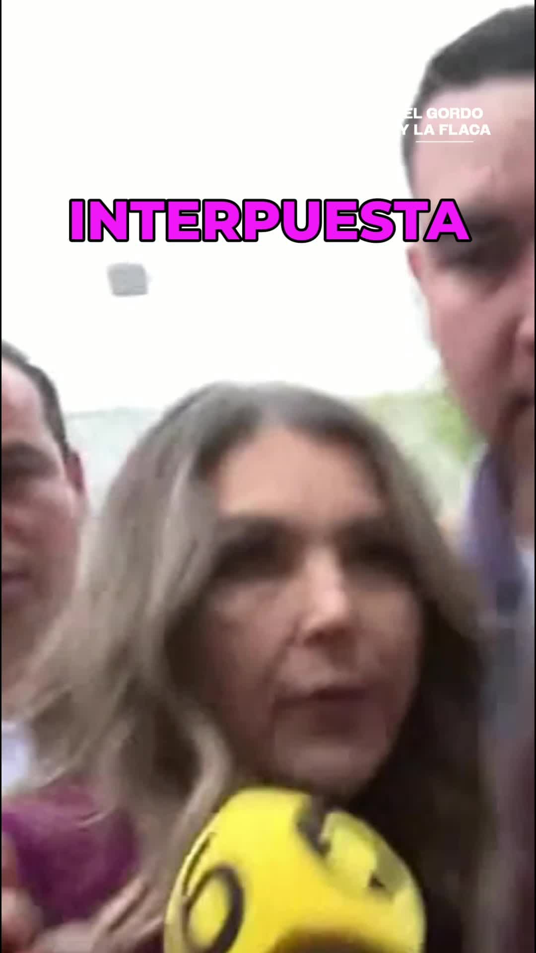 Alicia Villarreal enfrenta embargo millonario y su abogado responde