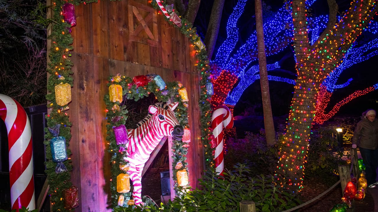 Candy, es una cebra robot que habla y se roba la atención de los visitantes más pequeños.
<br>