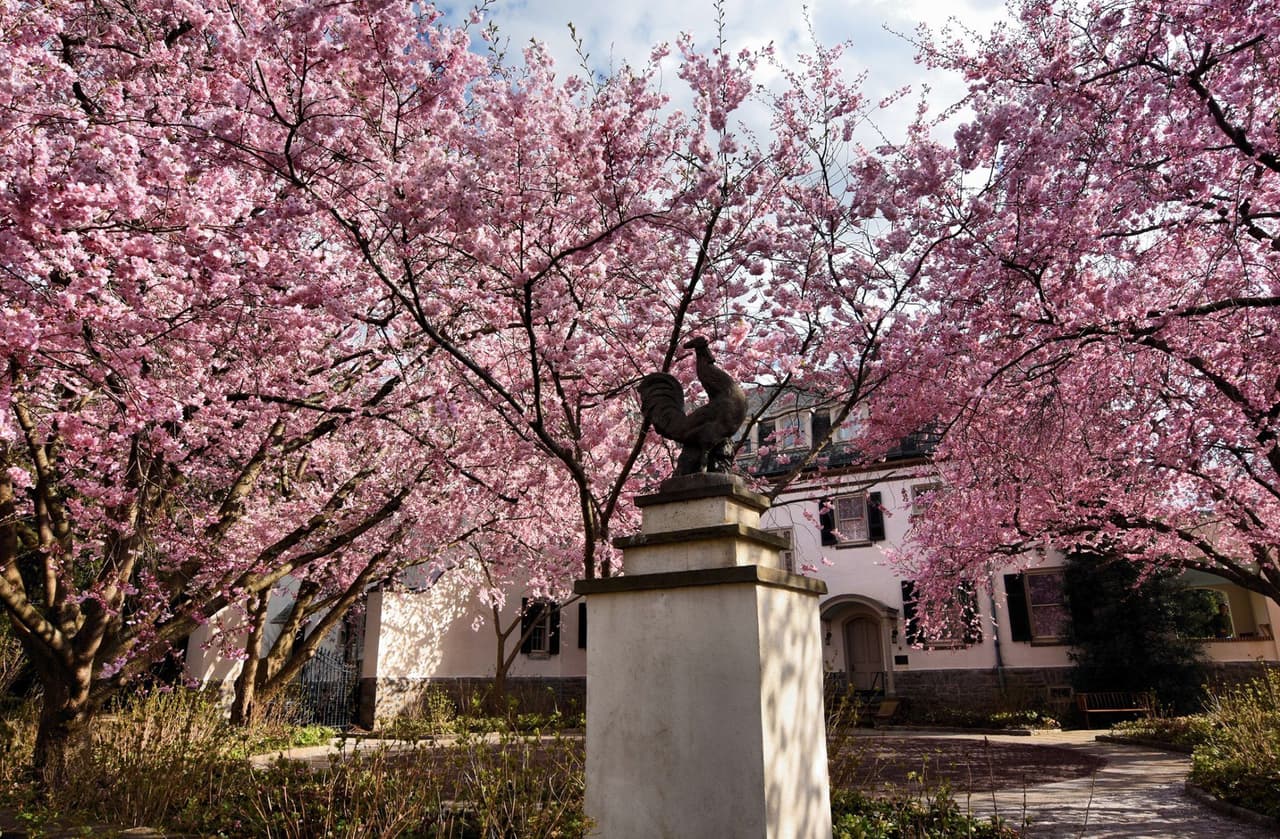 <b><a href="https://www.chanticleergarden.org/">Chanticleer Garden (Wayne)</a></b>. Treinta acres de una finca de 1913 convertida en una serie de jardines formales que incluyen un prado, un bosque con arbustos y una parcela.
<br>
<br>
<b><a href="https://goo.gl/maps/8GTptbBLWDNvQSEA6">Cómo llegar</a></b>