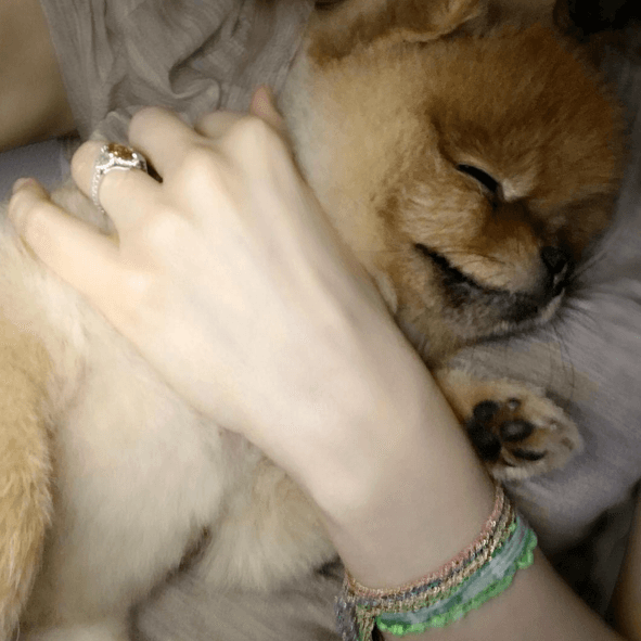 Thalía tan amorosa como siempre, así cuida de su tierno cachorro.