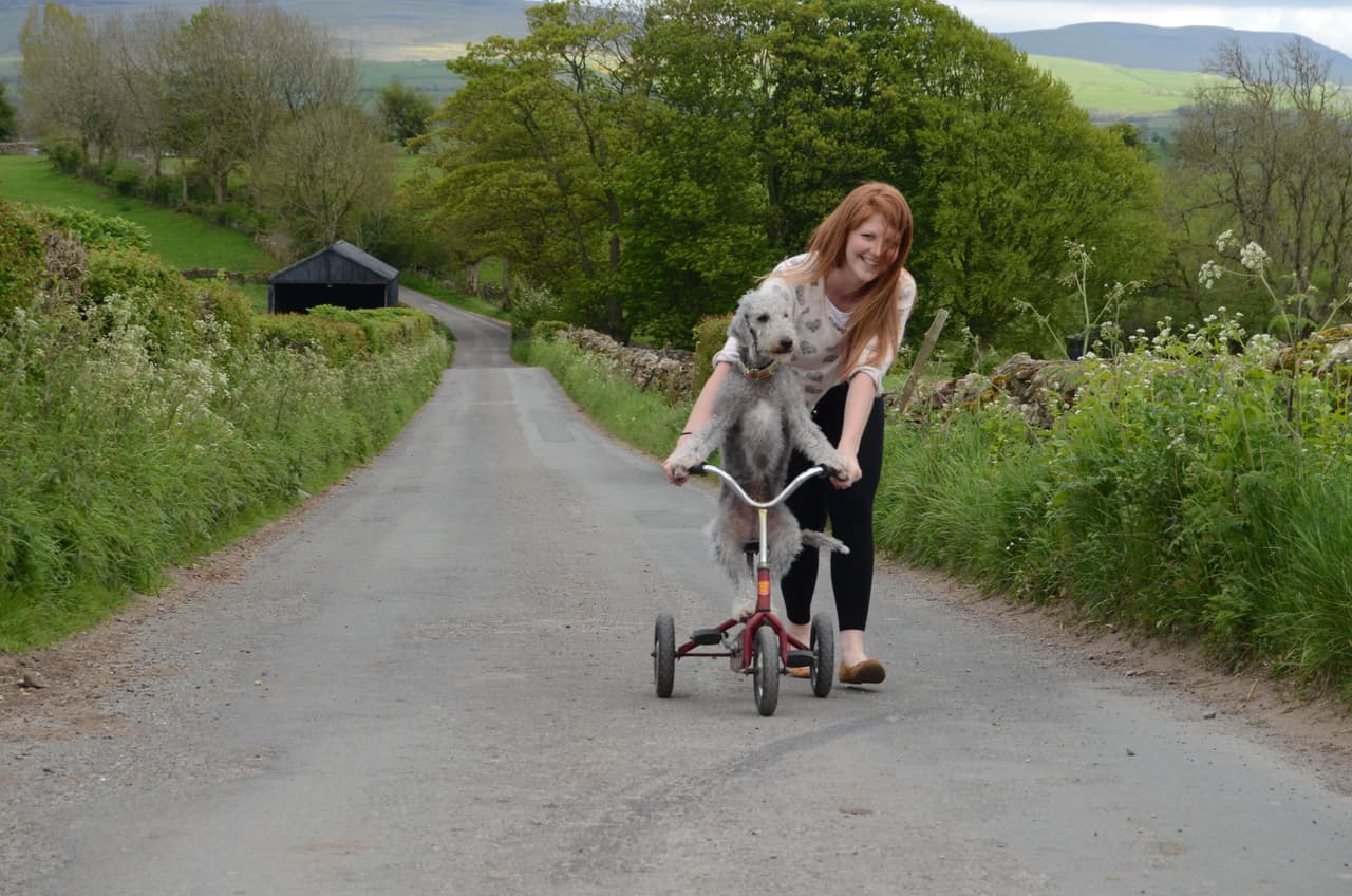 ¡Le había gustado la experiencia!